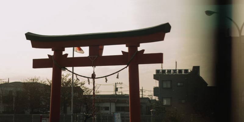 A genesis, in photos